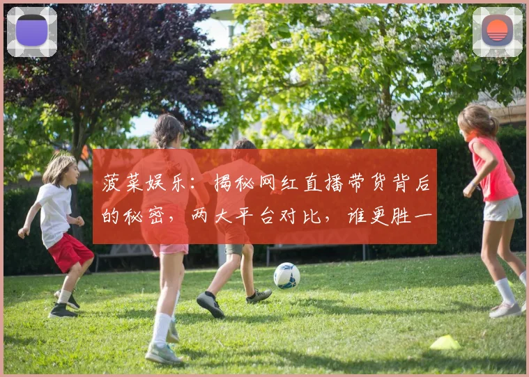 菠菜娱乐：揭秘网红直播带货背后的秘密，两大平台对比，谁更胜一筹