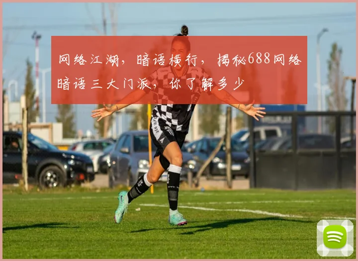 网络江湖，暗语横行，揭秘688网络暗语三大门派，你了解多少