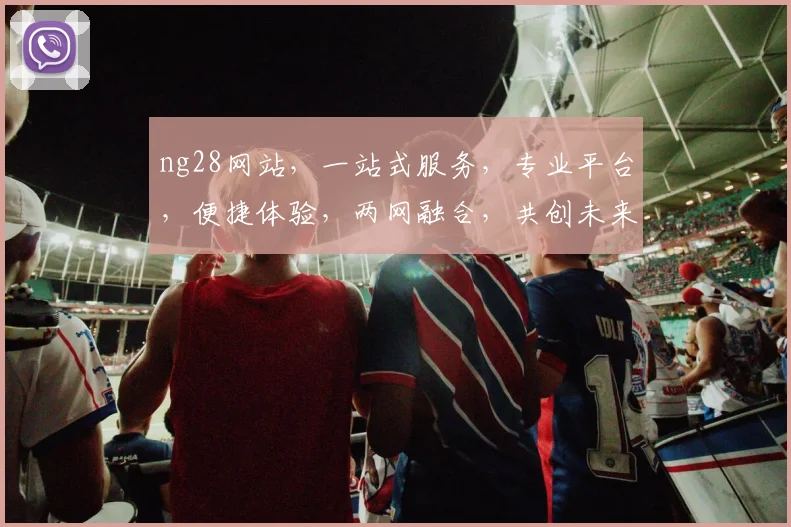 ng28网站，一站式服务，专业平台，便捷体验，两网融合，共创未来