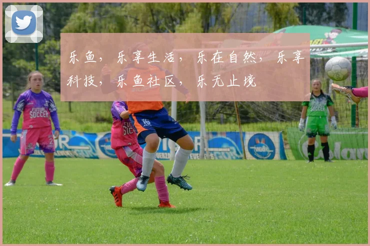 乐鱼，乐享生活，乐在自然，乐享科技，乐鱼社区，乐无止境